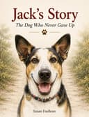 Jack's Story
