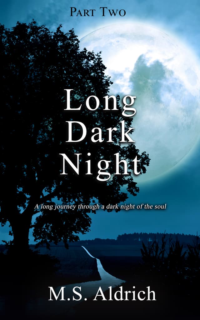 Cover of Long Dark Night