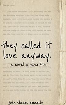 Cover of They Called It Love Anyway